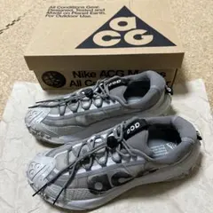 【NIKE】ACG MOUNTAIN FLY 2 LOW LT IRON GREのサムネイル