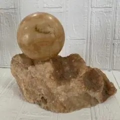 最終値下げ　希少　特大　鍾乳石　水石　　飾り石　レア物　入手困難　お買い得 楽天市場】大自然が作り出した唯一無二の神秘な石 鍾乳石 【23