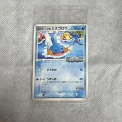 未開封　ポケパークのミズゴロウ PCG-P 048