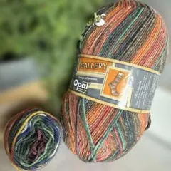 Opal Gallery 毛糸 8864+おまけ10g
