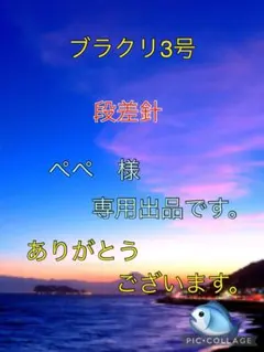 ぺぺ　様　専用出品です。