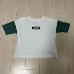 【美品】PUMA 半袖Tシャツ ホワイト×グリーン XSサイズ