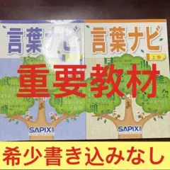 21-22か 重要教材 サピックス SAPIX 言葉ナビ 上巻・下巻 美品