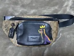 2025年最新】バスキア コーチの人気アイテム - メルカリ