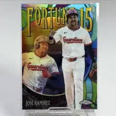 Item thumbnail for item 84768911-d61f-4cb3-997c-1819f504fcb3