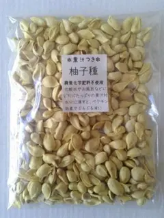 Item thumbnail for item 05564f26-1a80-4d01-83ff-51d714d2d794