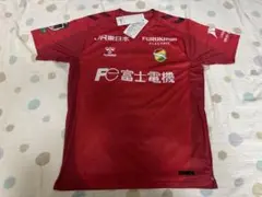 非売品 Bリーグ 名古屋ダイヤモンドドルフィンズ 須田侑太郎 直筆