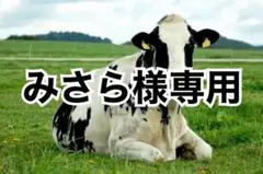 黒10、ホワイト10
