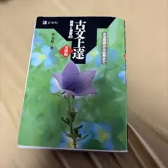 Item thumbnail for item 48f4d7b3-3457-455c-9d57-f1ba71a5906e