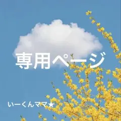 いーくんママ★専用ページ　2点まとめ売り