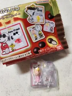 スヌーピー パッケージチャーム&チョコボーロ・サリー