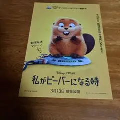 私がビーバーになる時 フライヤーチラシ