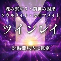 ツインレイ占い 縁結び 気持ち 霊視 復縁 不倫 恋愛 相性【初回限定価格】