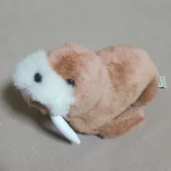セイウチ ぬいぐるみ A-SHOW