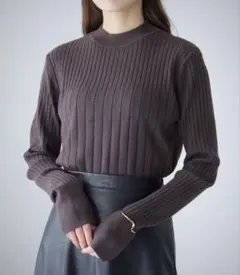 cheriella シェリエラ WEB限定ランダムリブプチハイネックニット