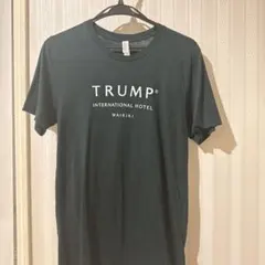 Item thumbnail for item 5d7017fe-1738-4bde-b500-ee7a822ecd73