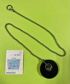 Item thumbnail for item 158f689c-6122-42dc-a424-eba931302954