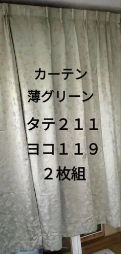 シンコール オーダードレープカーテン　縦210横119cm 2枚 薄緑 洗濯可のサムネイル