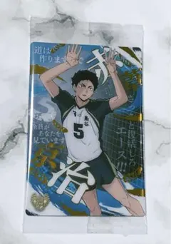 桜田様 リクエスト 2点 まとめ商品