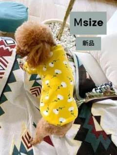 ドッグウェア ペット 服　小型犬　Ｍサイズ イエロー スウェット　裏起毛