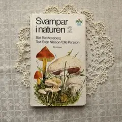 Item thumbnail for item ec4e83e7-3a81-4f81-affb-689819b676f7