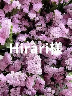 2026年最新】ニュアンススターチスの人気アイテム - メルカリ