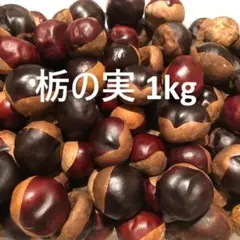 シルバーウィーク限定値引き