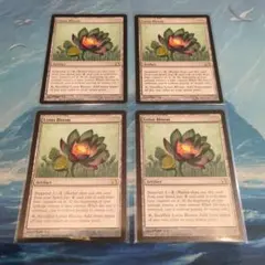 2026年最新】睡蓮の花 mtgの人気アイテム - メルカリ