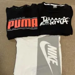 150 男の子　ロンT 長袖Tシャツ　3枚セット