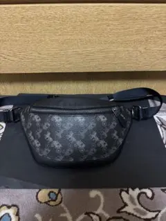 COACH ホースアンドキャリッジ　ショルダーバッグのサムネイル