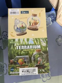 リーメント「ピクミンテラリウムコレクション①」6種コンプリートBOX