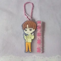 PetiTEEN ラバマスグミ ラバーマスコット スングァン