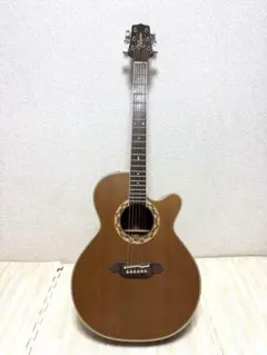 Takamine NPT510 エレアコ