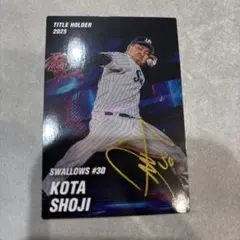 プロ野球カードサイン入りカード Amazon.co.jp: 金箔サイン入り2024プロ野球チップスカード 第1弾 佐藤