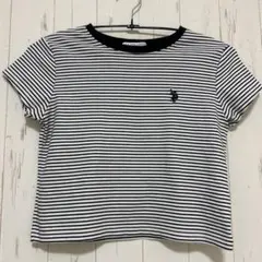 U.S. POLO ASSN. ボーダー半袖コンパクトTシャツ
