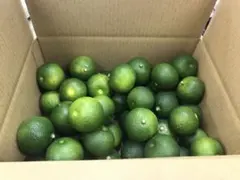 ハウスへべす 1.8kg （さがわクール配送）のサムネイル