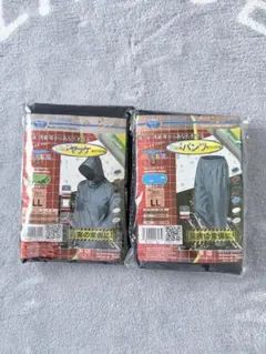 Item thumbnail for item d64085b4-0d8e-4a31-ac78-9d76b2259389