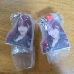 IVE アクリルビーズチャーム リズ2個セット ガシャポン
