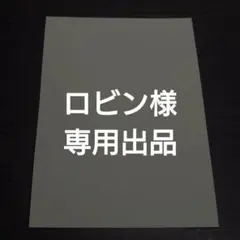 ロビン様 専用出品