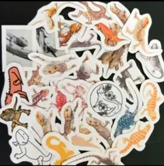 ENA様 リクエスト 2点 まとめ商品