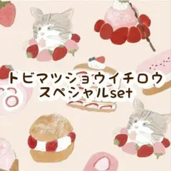 古川紙工 トビマツショウイチロウ メモ おりがみ小箱 付箋