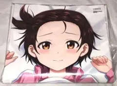 正規品 Z-M Pillows 履いてください、鷹峰さん 鷹峰高嶺 抱き枕カバー