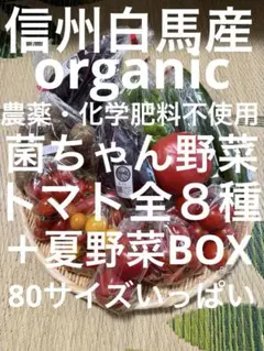 【無農薬】菌ちゃん夏野菜セット⭐︎信州白馬産／80サイズ⭐︎トマトたーっぷり！！