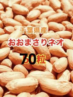2026年最新】おおまさりネオの人気アイテム - メルカリ