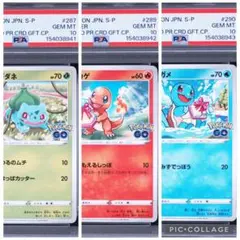 2026年最新】フシギダネ プロモ psa10の人気アイテム - メルカリ