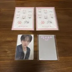 Stray Kids スキズ リノ Lee Know トレカ 18枚 まとめ売り - メルカリ