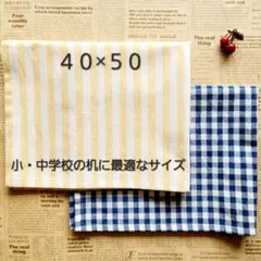 No.146　ランチョンマット40×50 2枚セット