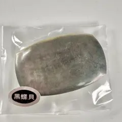 【新品・未使用】天然 黒蝶貝 帯留め シェル 虹色の輝き 和装小物