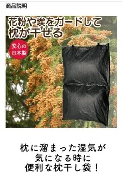 Item thumbnail for item 6da71562-648b-40b6-bad6-379f3657a959