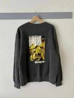 Item thumbnail for item 504ff721-5a94-4906-a381-2d0e989e30ca